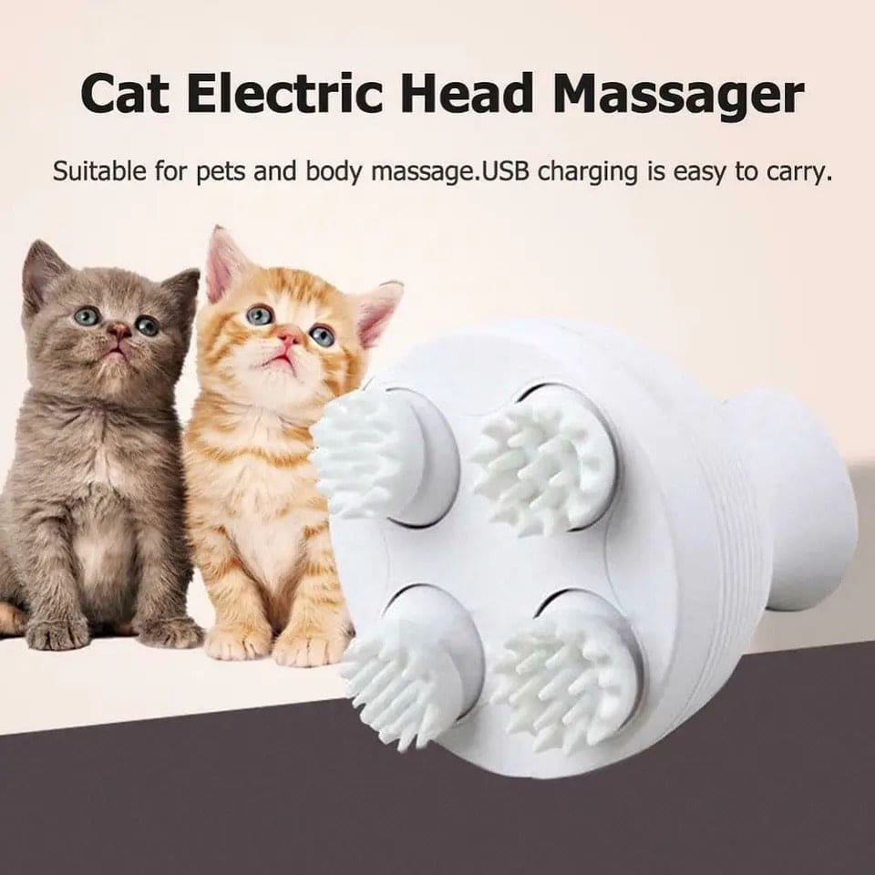 Hair Growth Head Massager